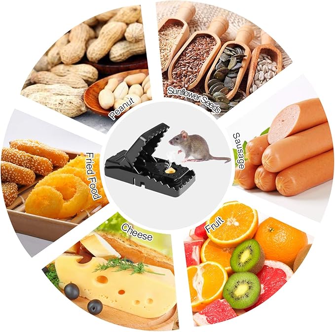 Heavy Duty Plastic Mouse Trap – Reusable Mouse Catcher | Best Quality Rodent Control Trap for Home, Kitchen & Office – Easy, Safe & Effective (Pack of 1)